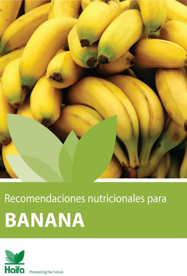 Recomendaciones Nutricionales Para Banano Haifa Group